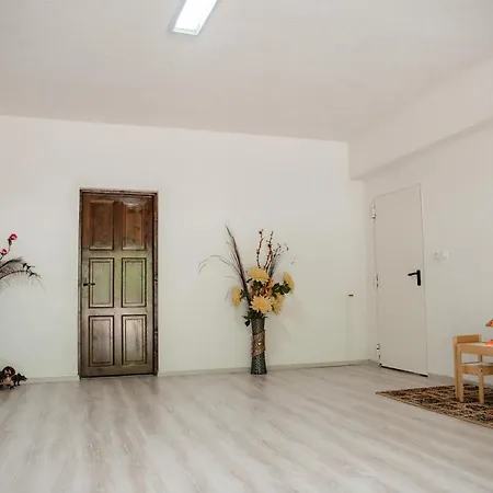 Pensiunea Giulia 3* Bucsony